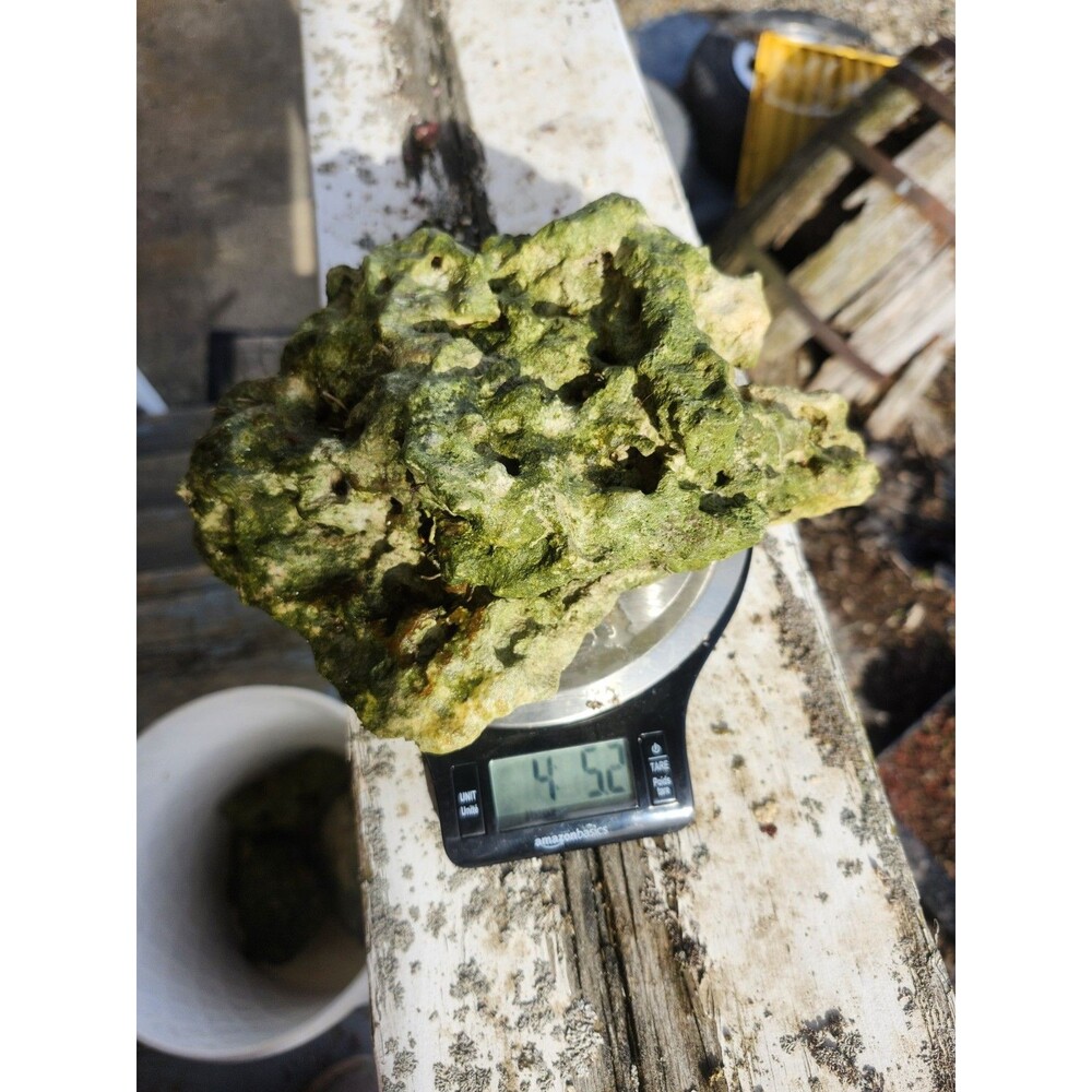 Fiji Dry Base Rock for Saltwater Aquarium Setup Natural Reef Rock Aquascaping
